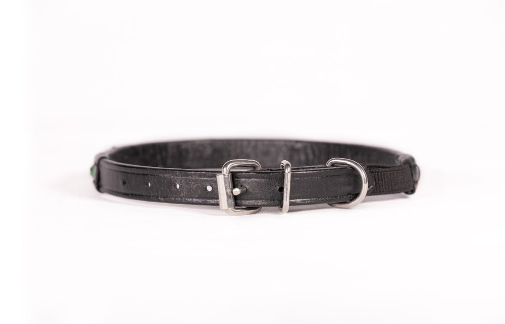 Dog Collars Slim Shine