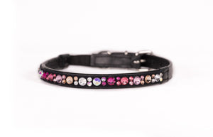 Dog Collars Slim Shine